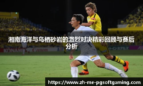 湘南海洋与鸟栖砂岩的激烈对决精彩回顾与赛后分析