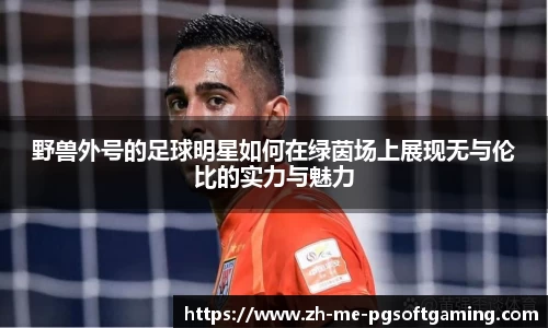 野兽外号的足球明星如何在绿茵场上展现无与伦比的实力与魅力